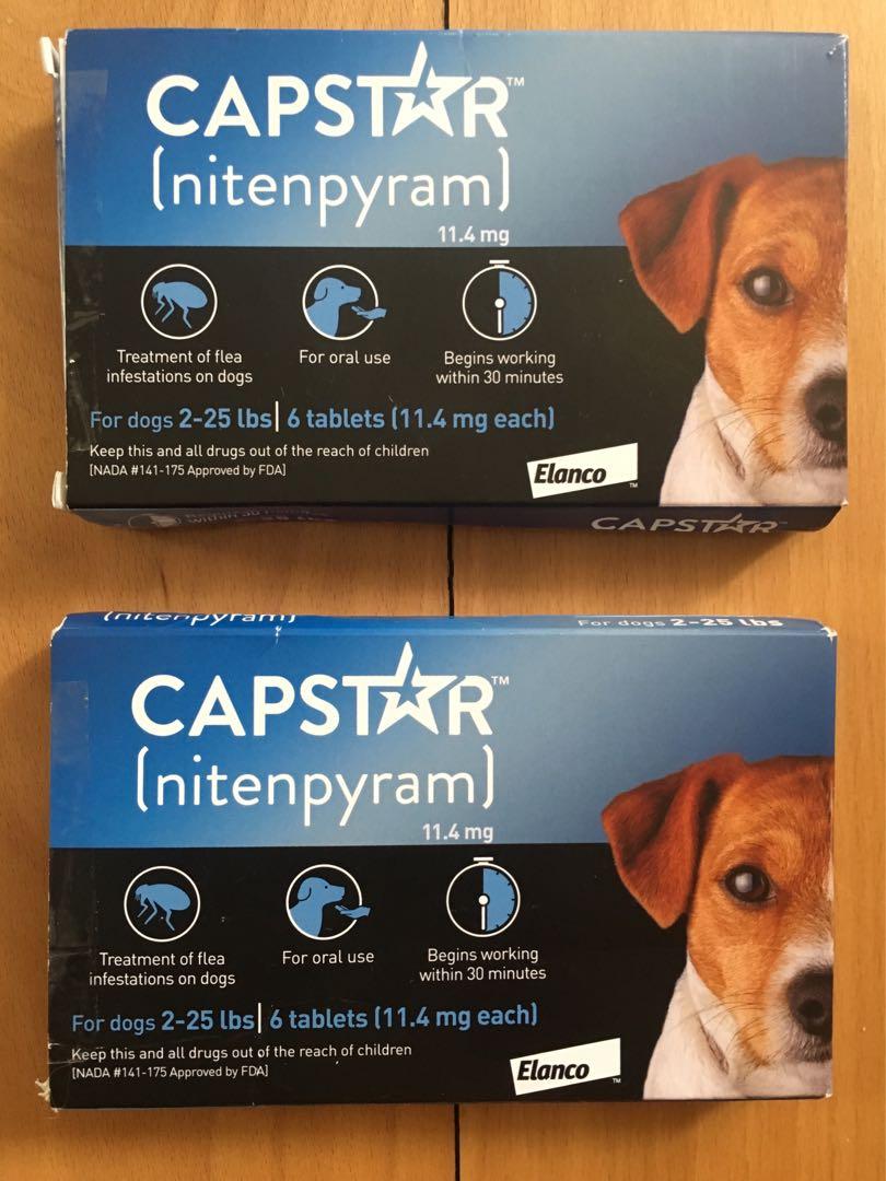 capstar nitenpyram for dogs