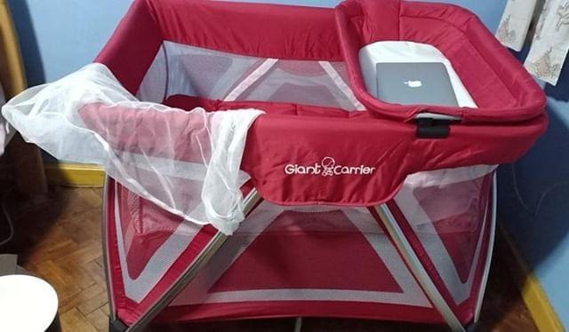 giant carrier crib sm price