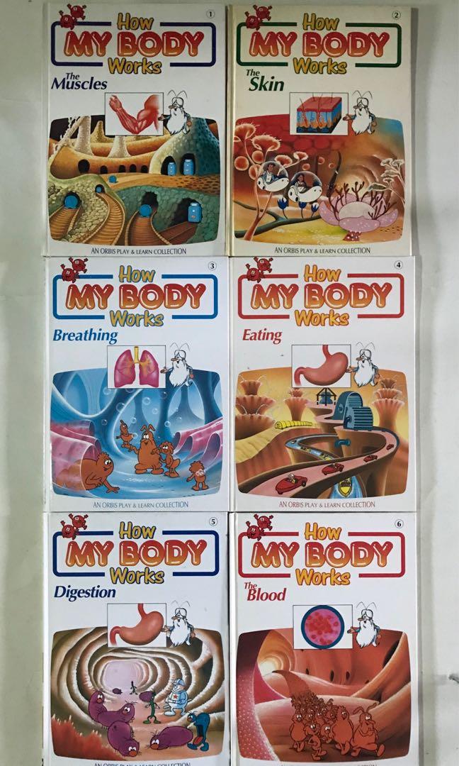 How My Body Works Books Set with Toy Anatomy Figure, Hobbies & Toys