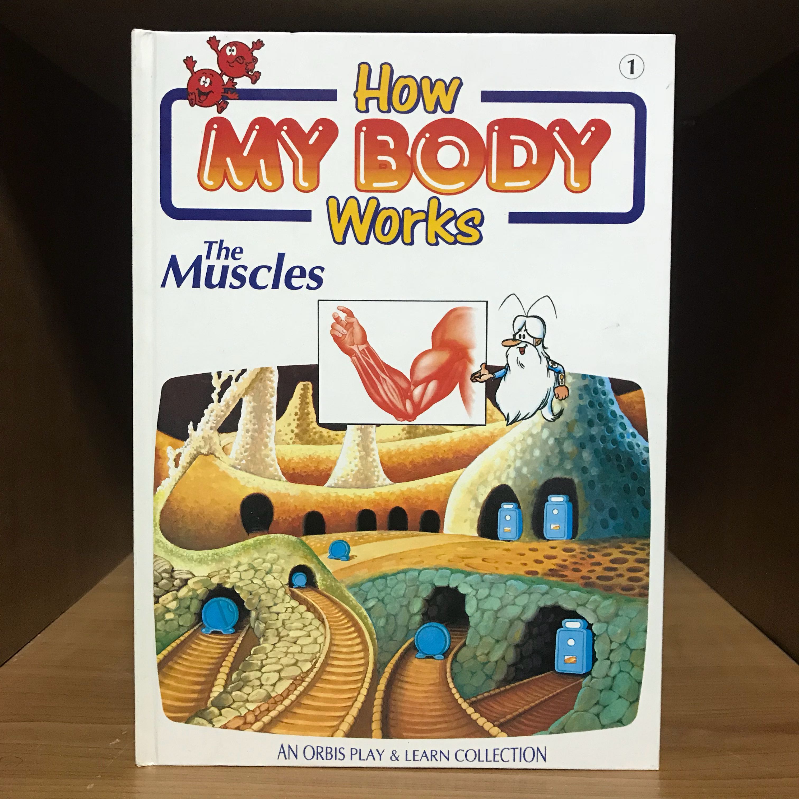 How My Body Works Books Set with Toy Anatomy Figure, Hobbies & Toys