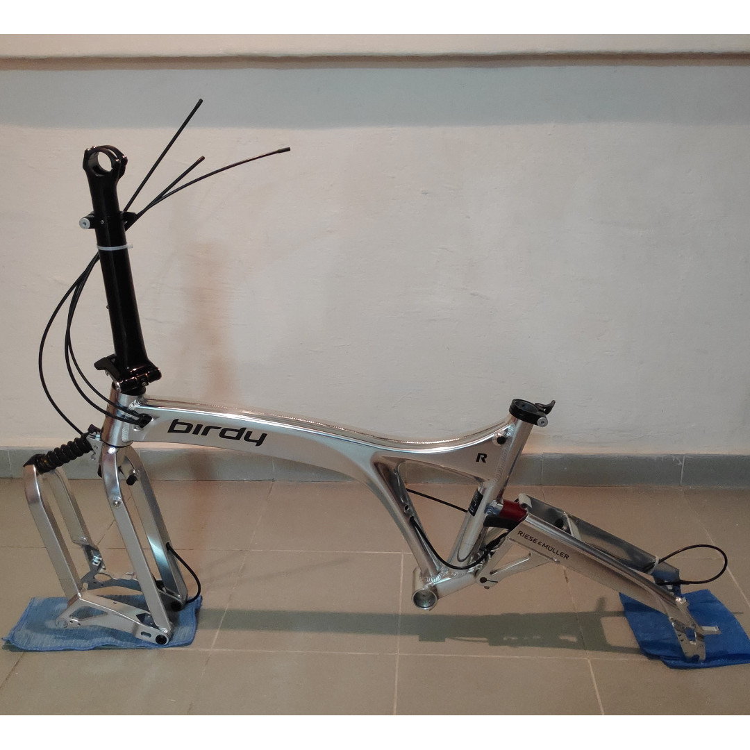 Birdy sales bike frame
