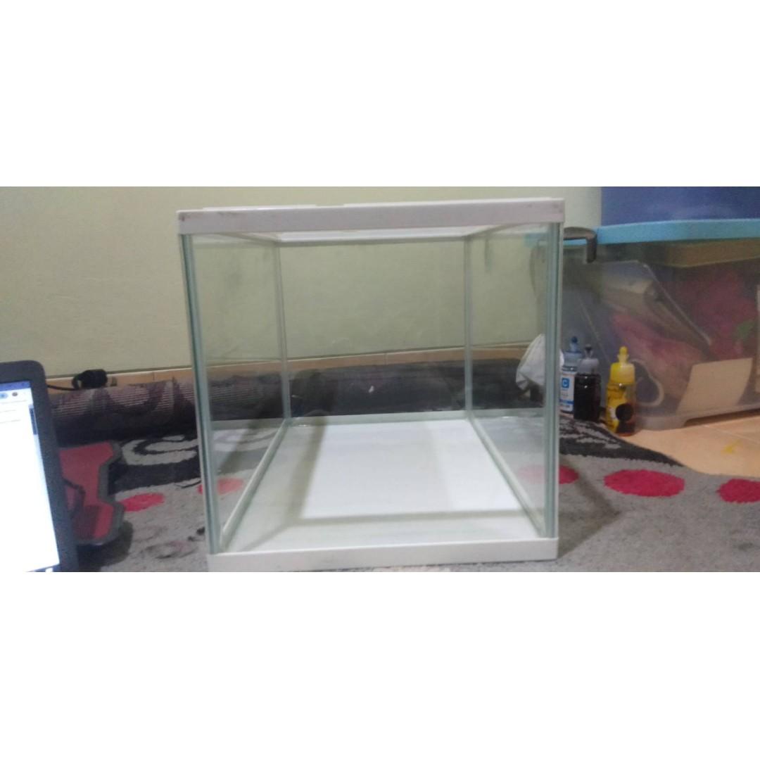 Download 91+ Background Aquarium Putih Polos HD Paling Keren