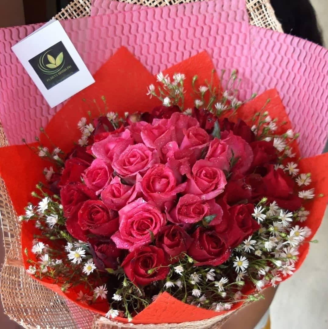 Bouquet 4 Dozens Of Red And Pink Roses Online Shop Preorder Preorder Women S Fashion On Carousell