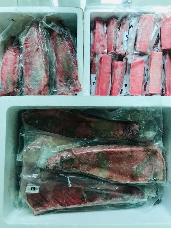 Export Quality Tuna Belly and Tuna Panga