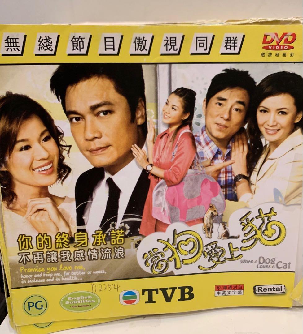 When a cat loves dog tvb