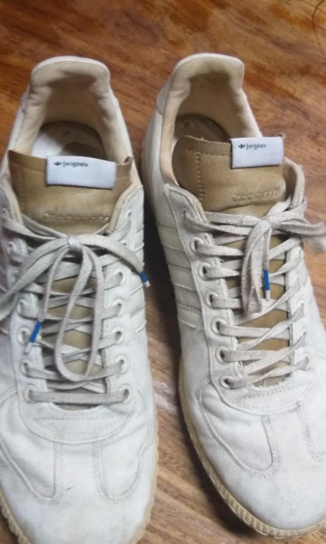 gazelle samba
