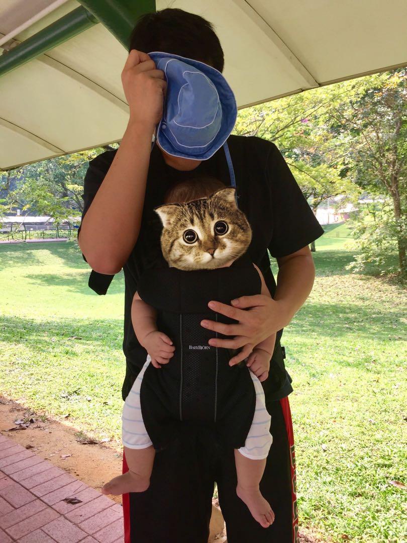 cat bjorn carrier