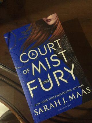 Novel A Court of Mist and Furry