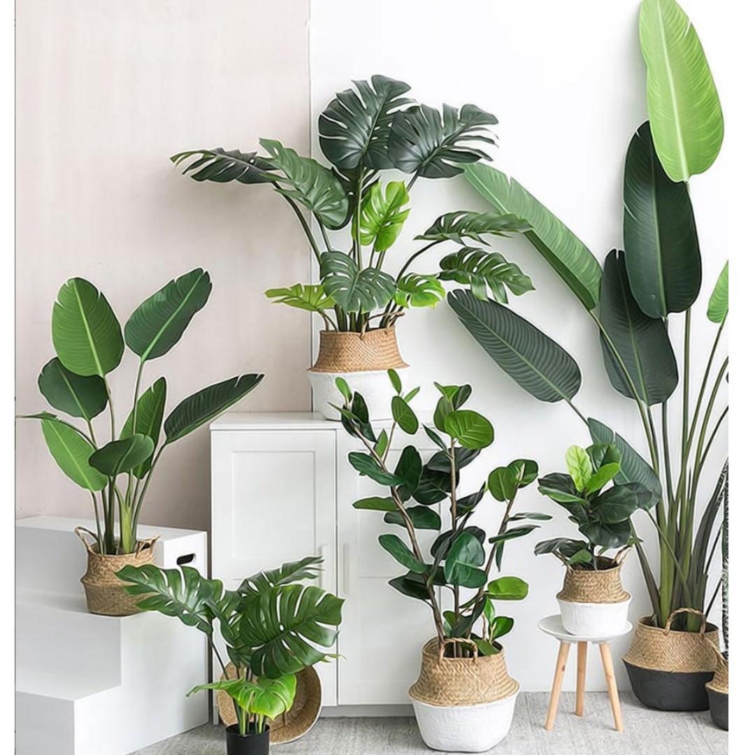 Artificial Green Turtle Leaves Plant With Rattan Basket