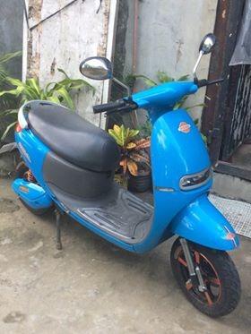 Gogo Ebike 60 volts 800watts Motorbikes on Carousell