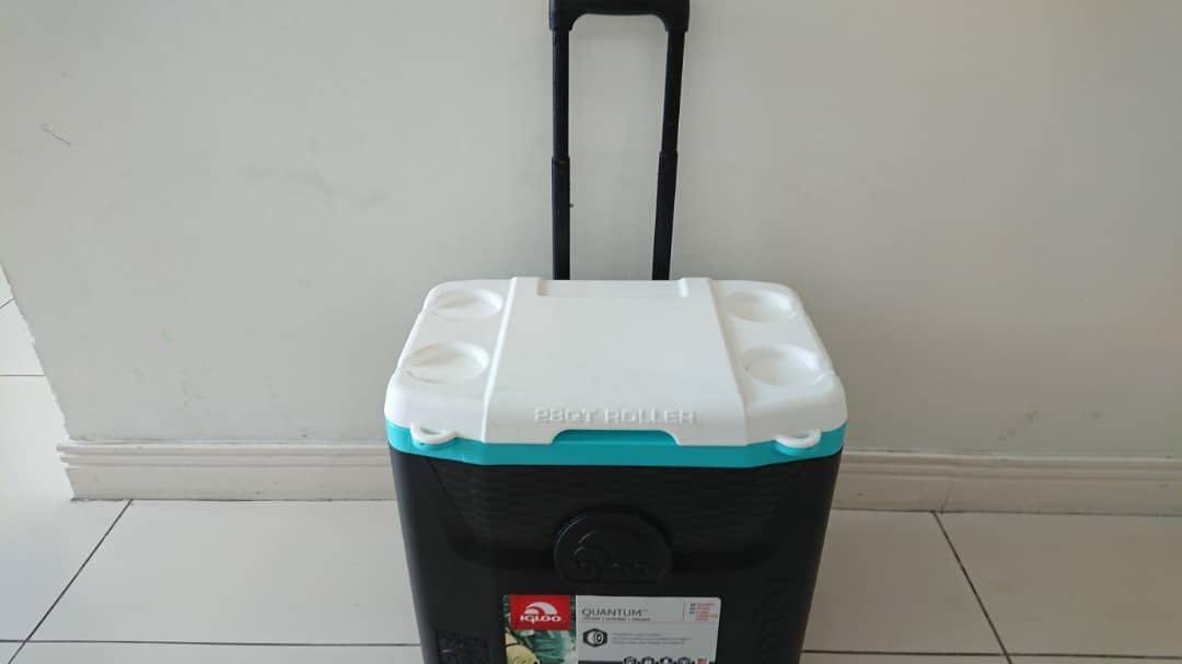 Igloo hotsell quantum cooler