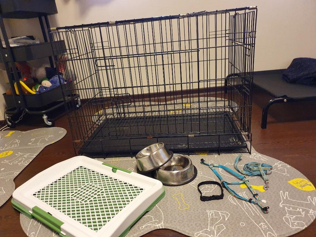 Puppy/small dog crate, bowls, pee tray, collar, harness and leash, Pet