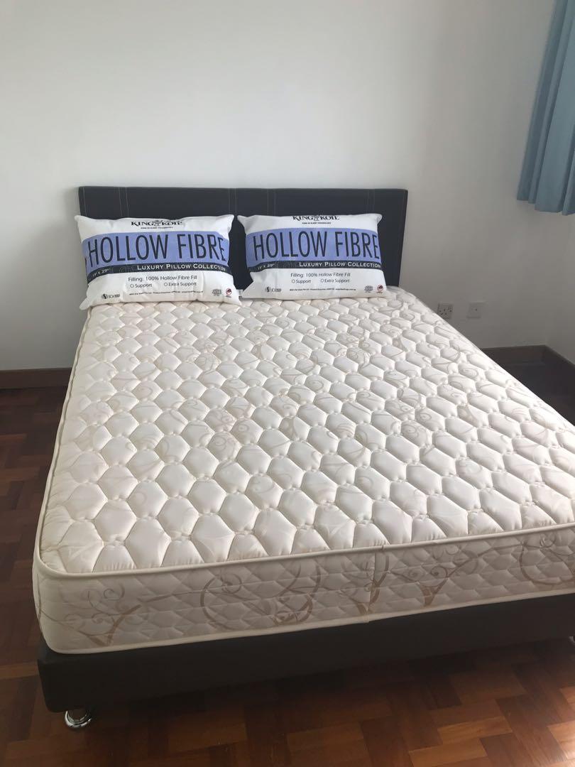 King koil hot sale perfect seasons
