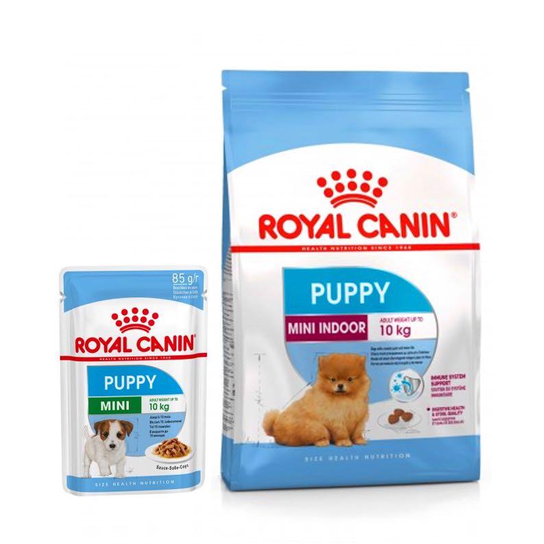 Royal Canin Mini Indoor Puppy Dry Wet Pet Supplies For Dogs Dog Food On Carousell