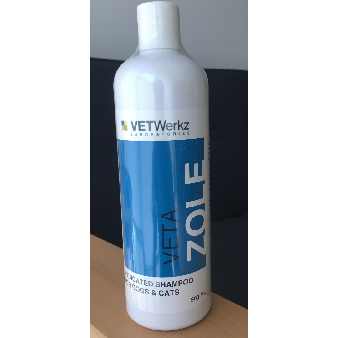 safe foods for dogs with kidney disease