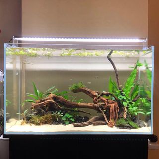 Chihiros RGB Series, Pet Supplies, Homes & Other Pet Accessories 