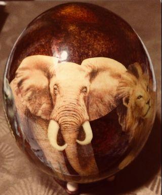 South African Big 4 Animals Egg Display