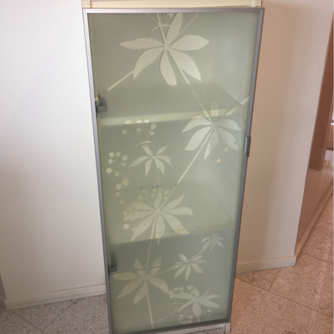 Bookcase with frosted glass door, Furniture & Home Living, Furniture, Shelves, & Racks