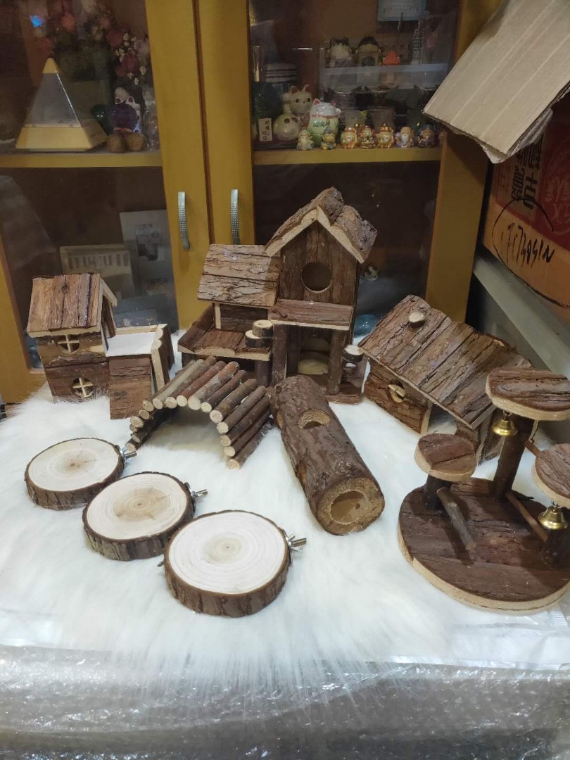 rainforest hamster cage