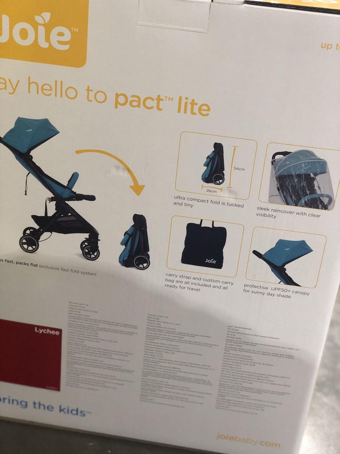 Joie Pact Airplane 2024 www.cenisamoletnibileti