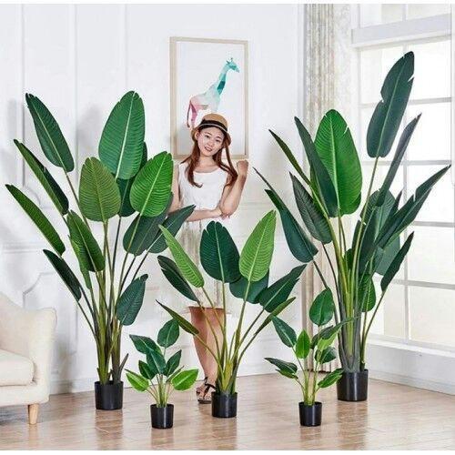 Premium Quality Banana Tree Pokok Pisang Viral Hiasan Home Furniture Others On Carousell