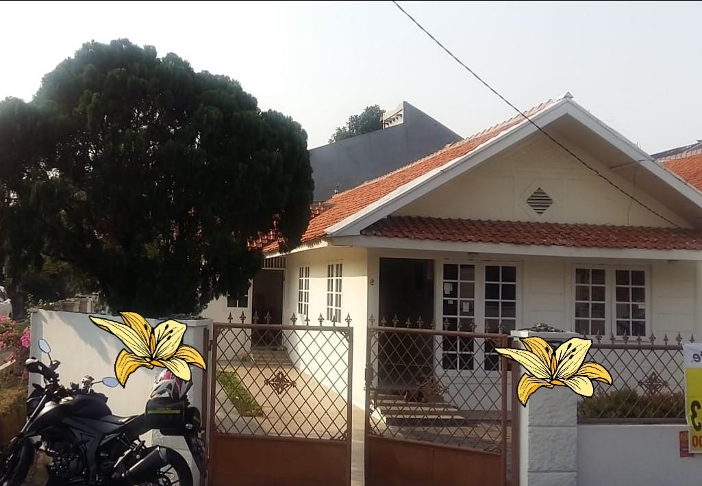 Get Rumah 1 Lantai Dijual Background