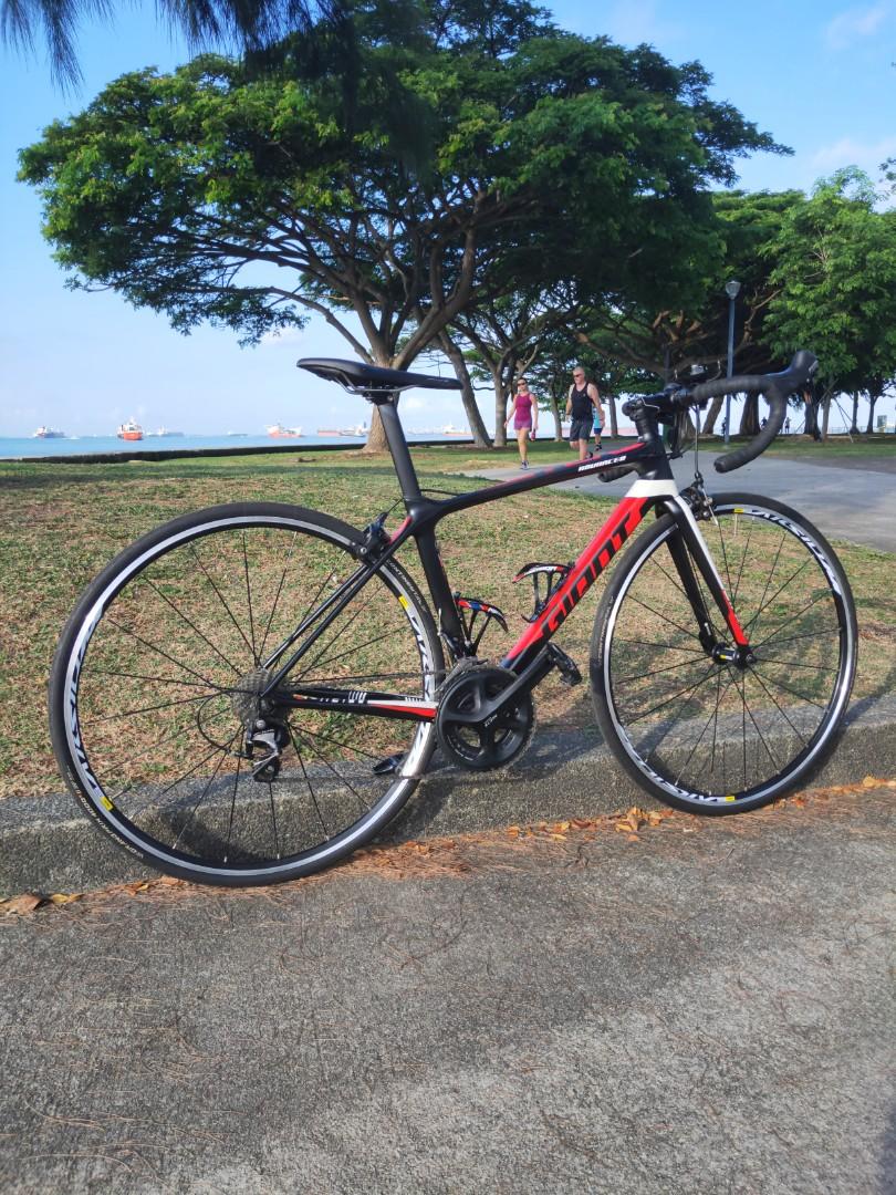 giant carbon road bike