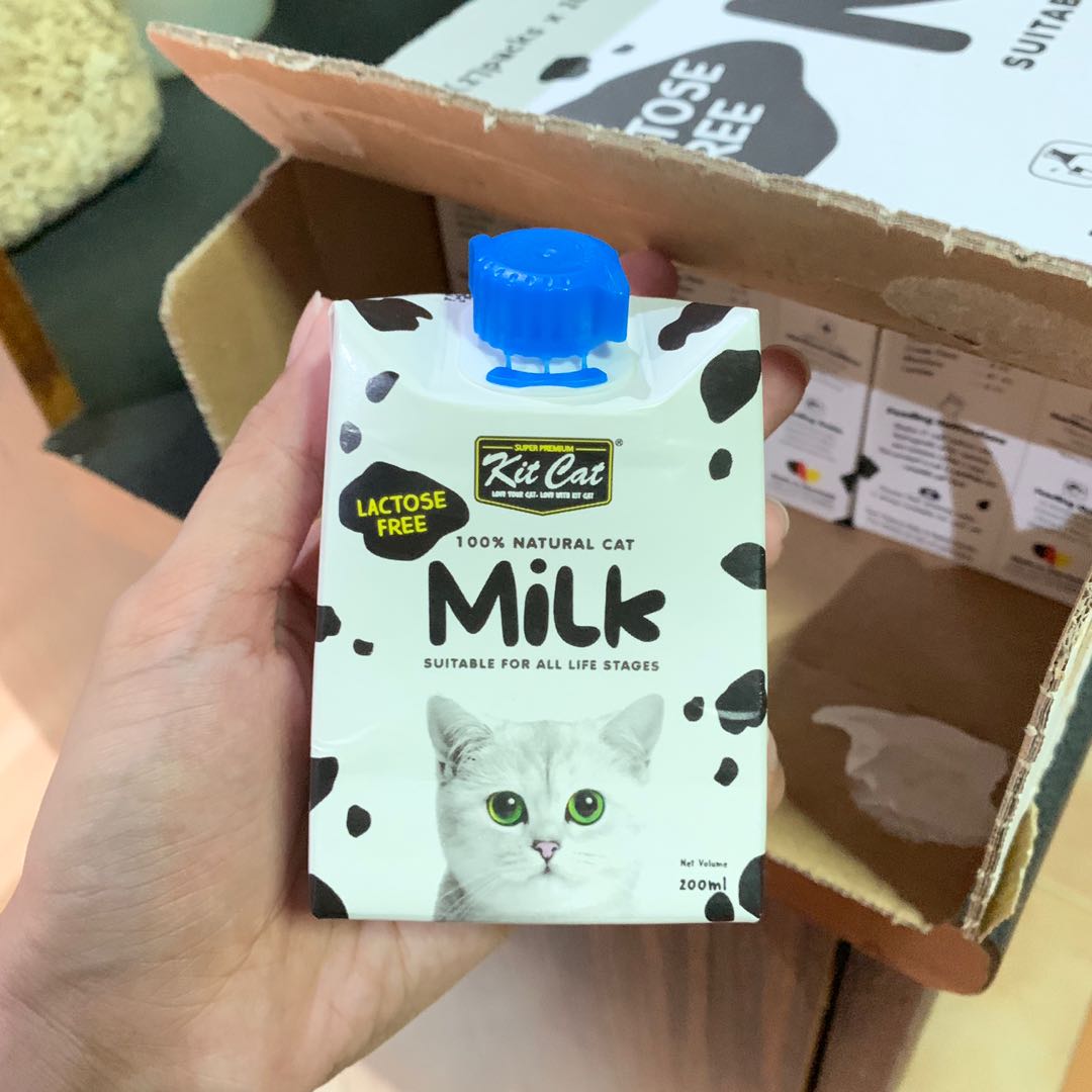 kit cat milk
