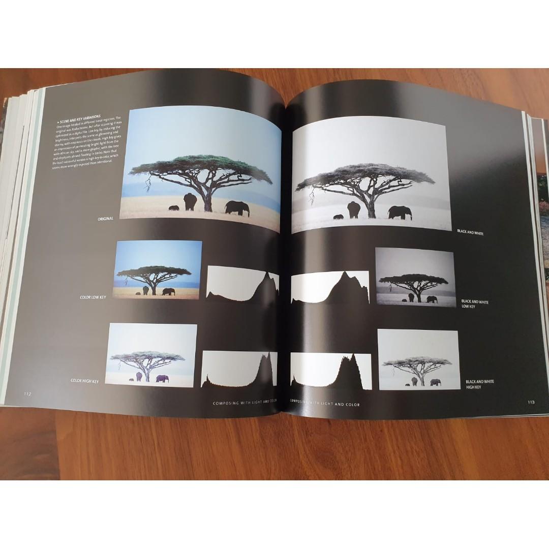 Michaeal Freeman The Photographer S Eye Composition And Design