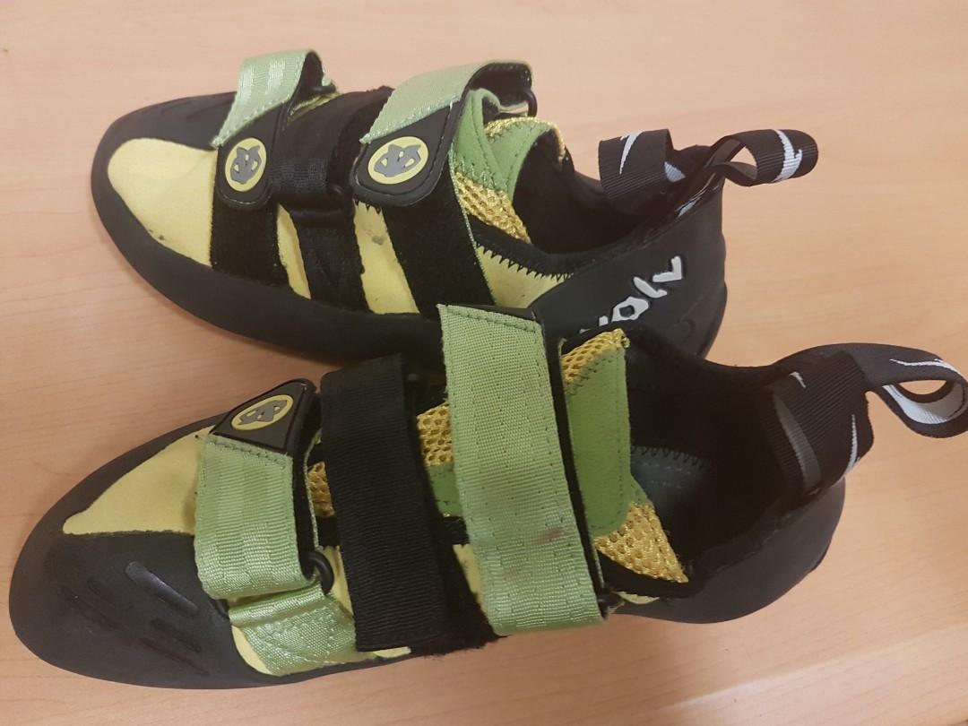 Evolv pontas new arrivals 2