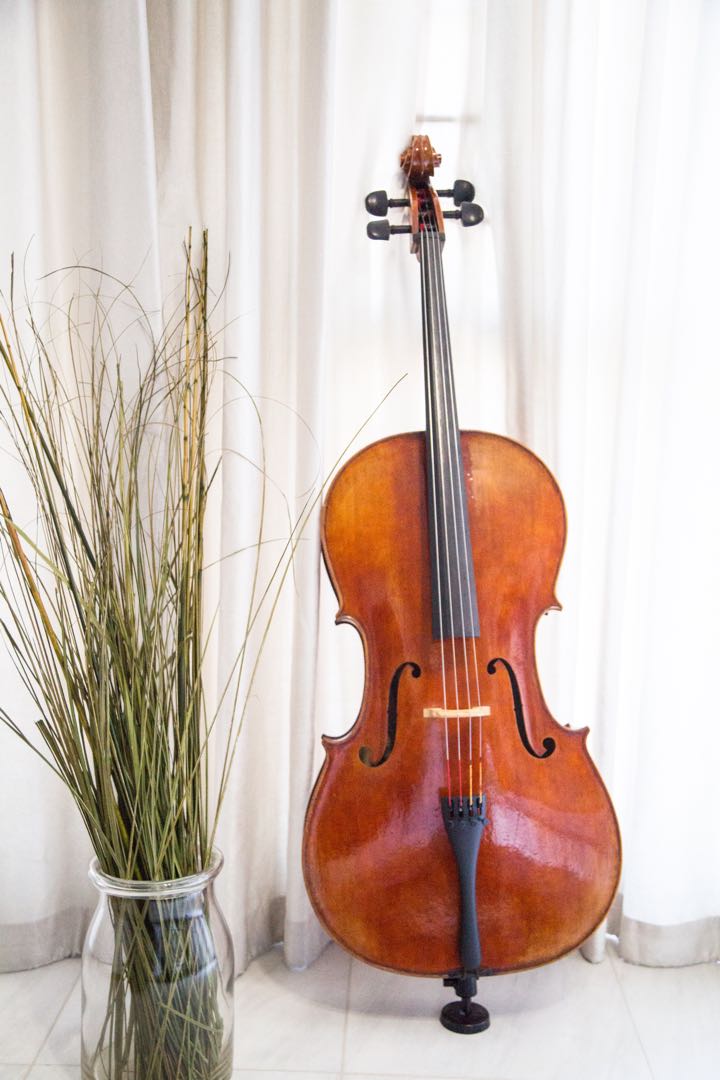 Synwin cello shop
