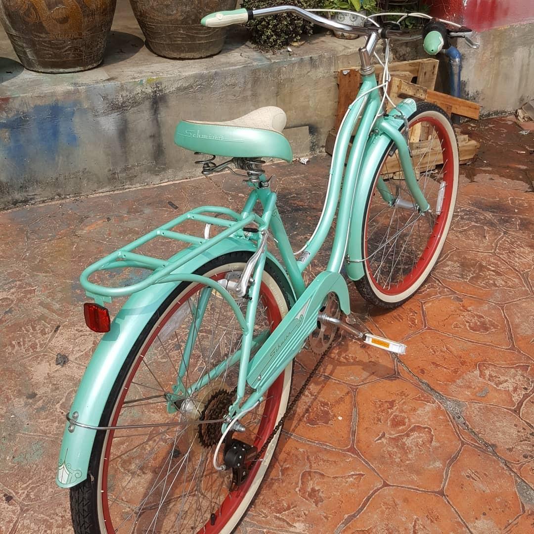 Schwinn store perla cruiser