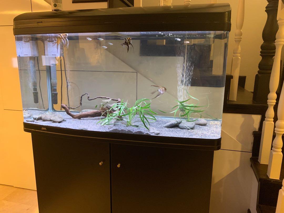 55 Gallon Aquarium With Cabinet Pet Supplies For Fish Fish