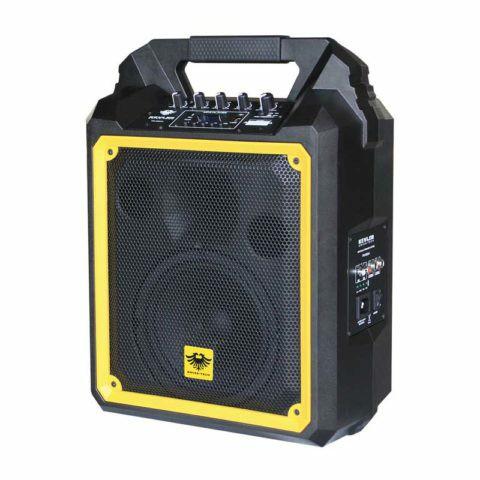 ps speaker