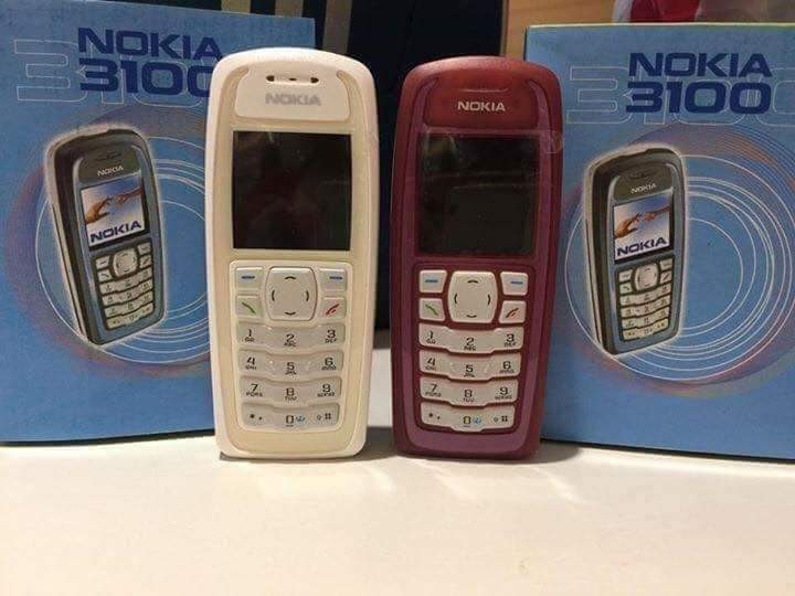 nokia 3100