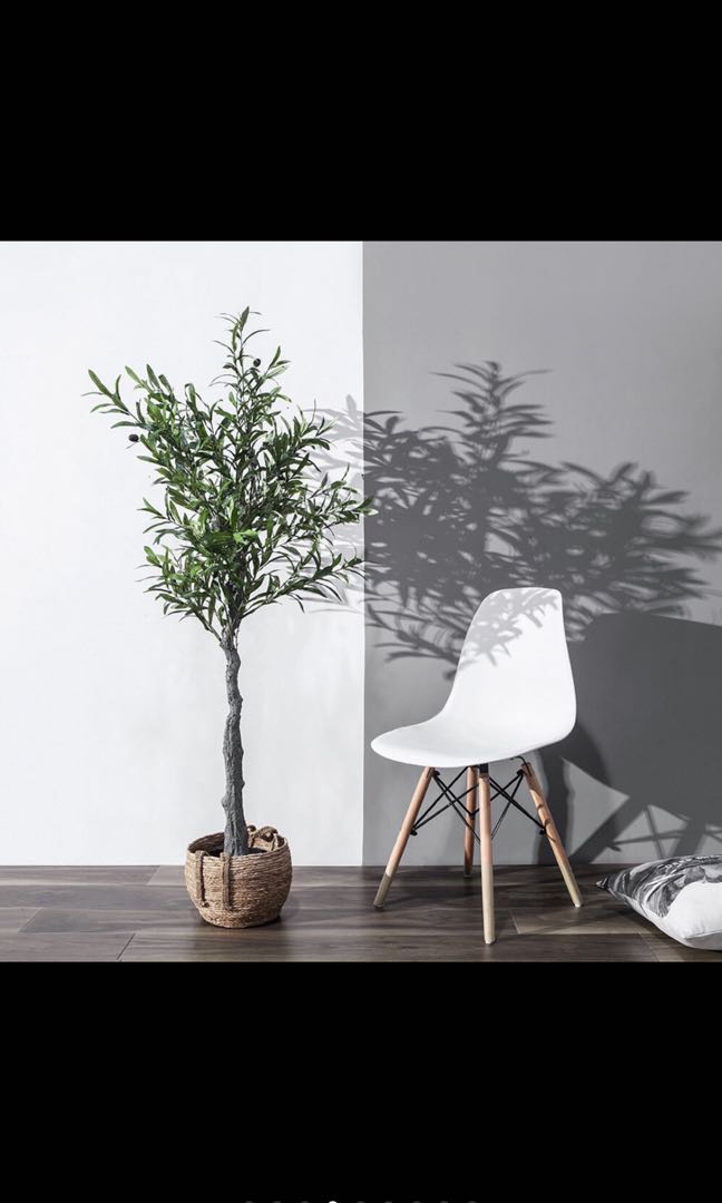 Olive tree, Furniture & Home Living, Home Decor, Artificial Plants