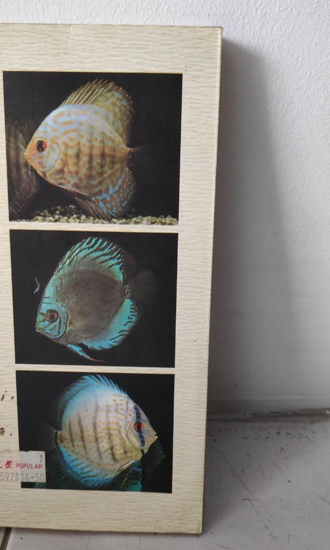 Tropical fish book, Hobbies & Toys, Books & Magazines, Fiction & Non