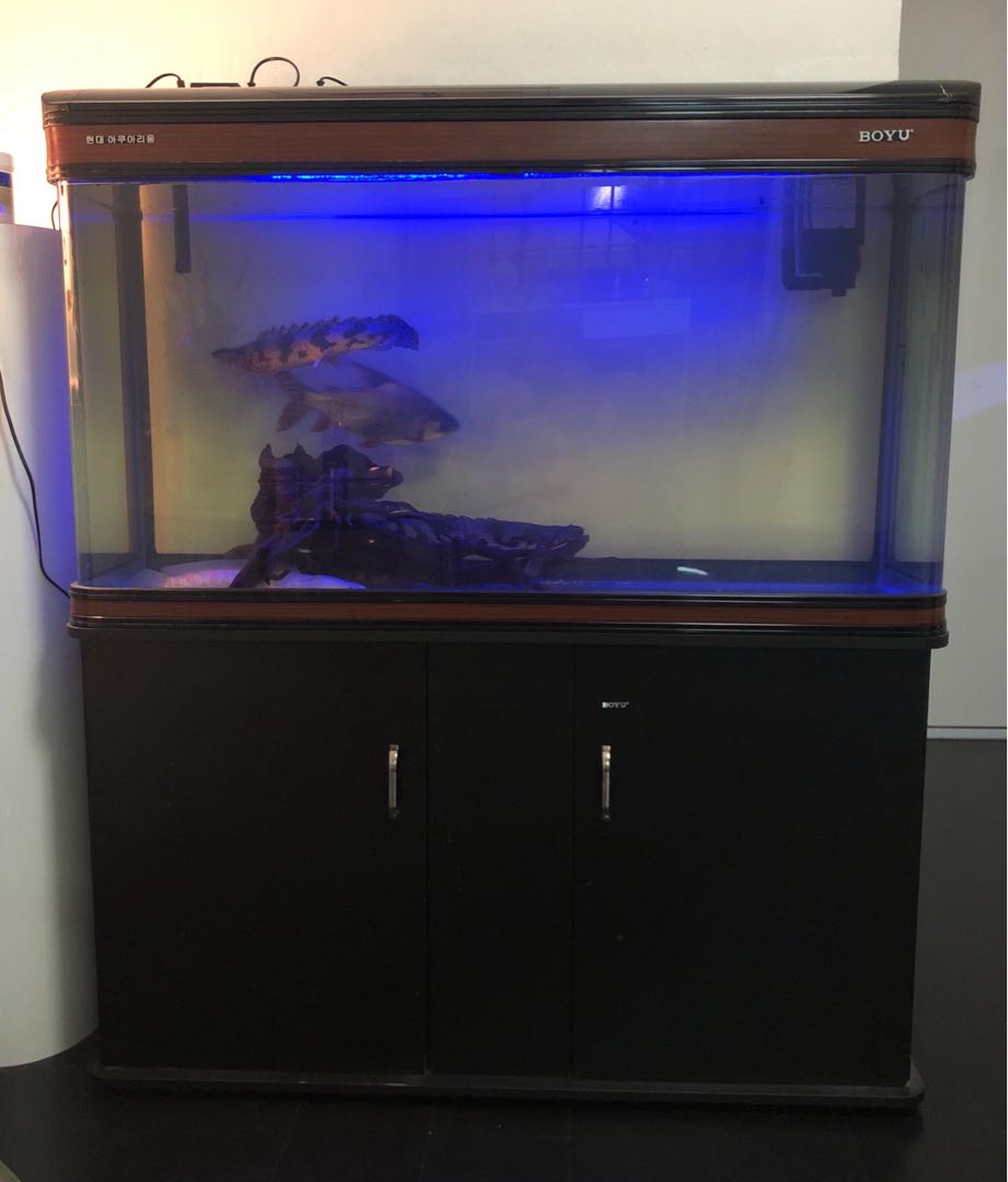 4 Ft BOYU Fish Tank with cabinet Pet Supplies Homes Other Pet