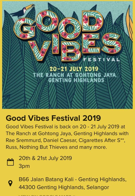 goodvibes festival 2 days general ticket, Everything Else, Others on