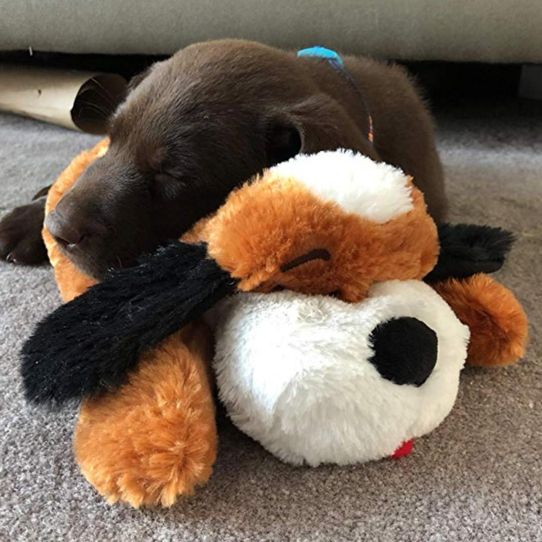 smart pet snuggle puppy