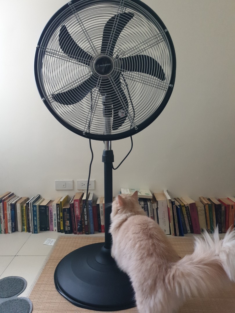 Westinghouse Stand Fan 72715 20 50cm Ideal For Commercial Applications