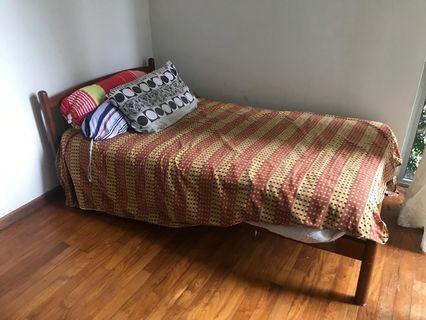 Bedframe & Mattresses