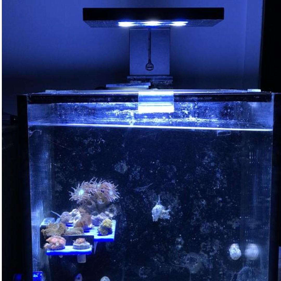 Innovative Marine Fusion 10g Saltwater Fish Tank Accessories Jebao RW4 etc Pet Supplies Homes Other Pet Accessories on Carousell