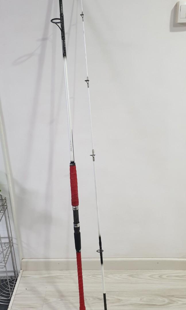 Team Daiwa 11ft Surf Casting Fishing Rod (Spinning)