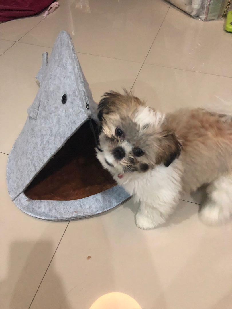 Tempat Tidur Anjing Rumah Anjing Kucing Pet Supplies