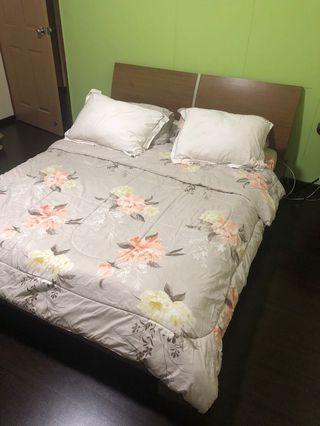 USED SOLID WOOD QUEEN BED