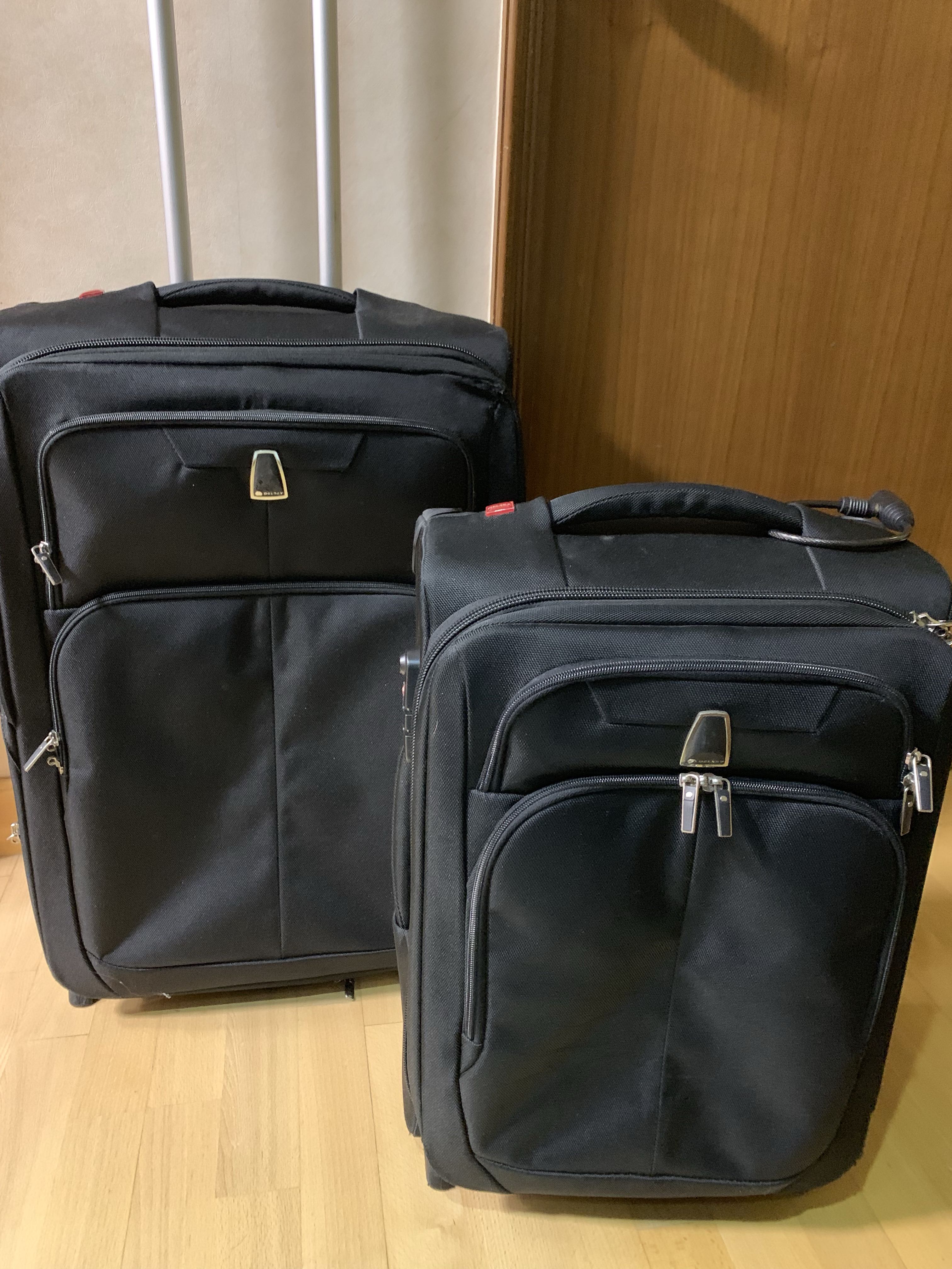 Delsey crew luggage Clearance