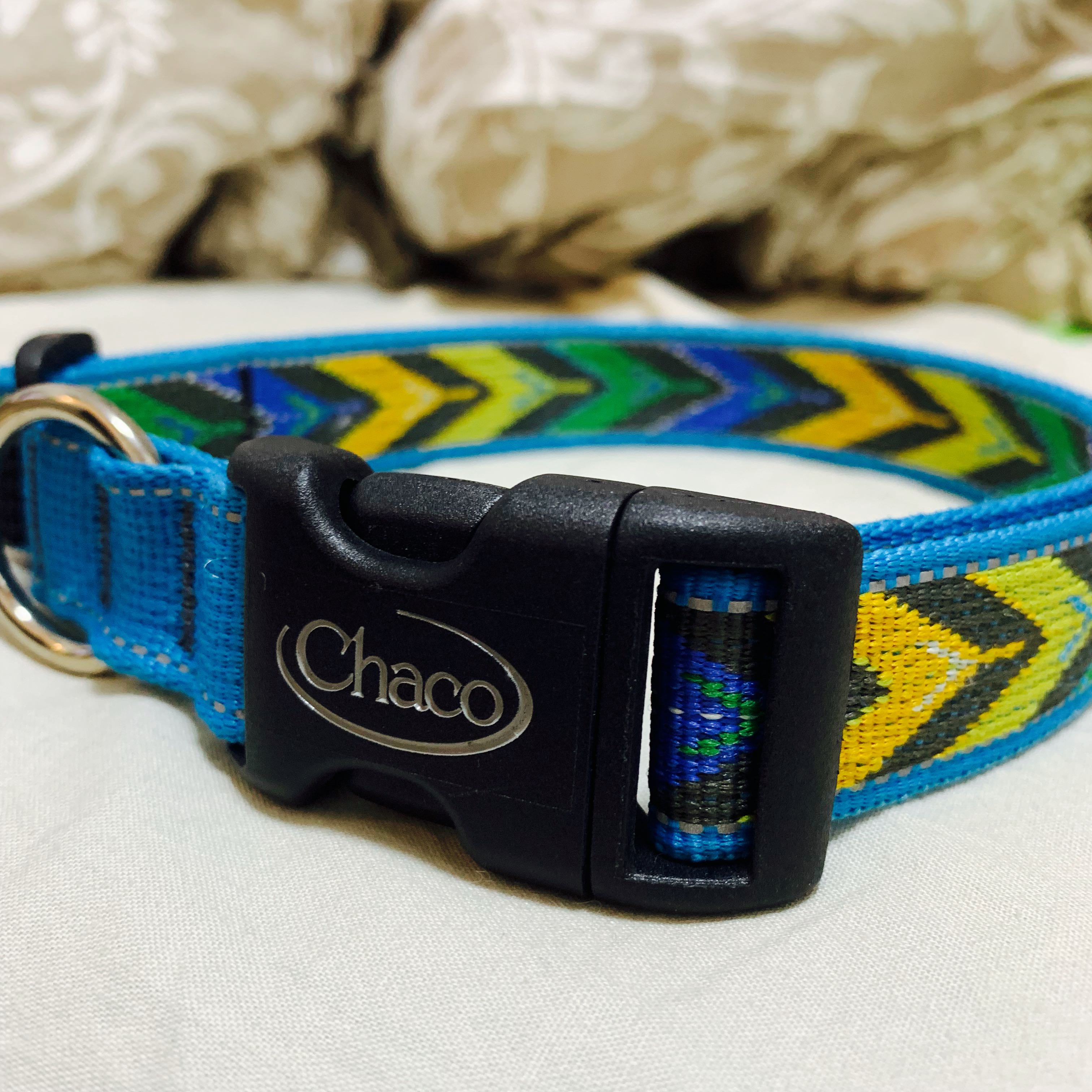 Chaco custom dog new arrivals collar