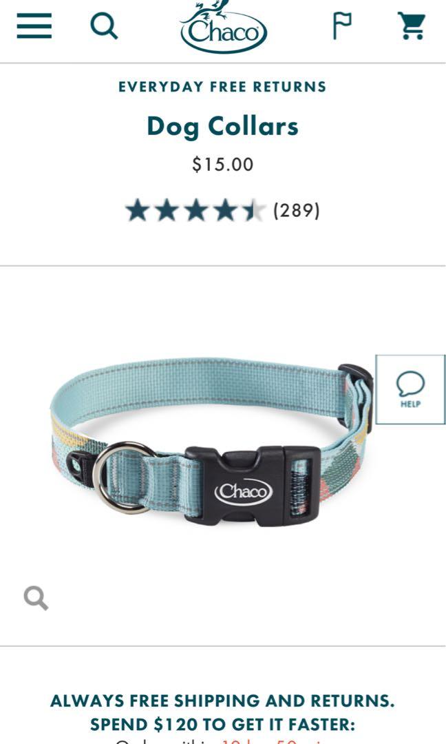 Chaco custom dog collar online