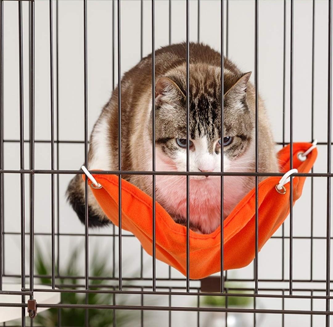 [BNIB] Iris Cat Cage Condo 2 Tier AnywhrCarousell, Pet Supplies, Homes